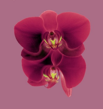 F 035B